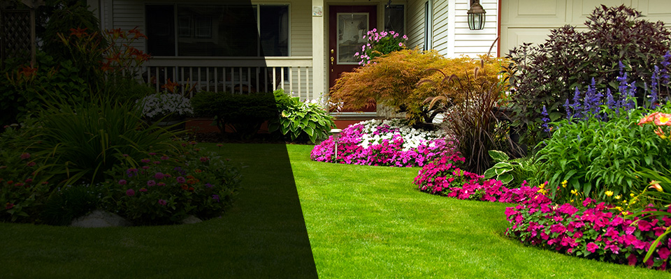 Bertha Landscapers