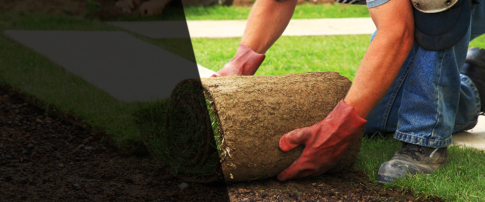 Bertha Landscapers